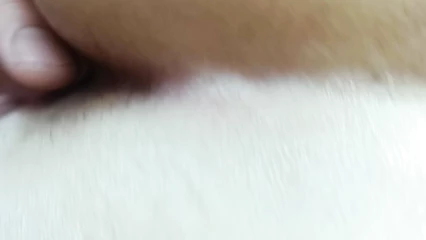 Trial video 2