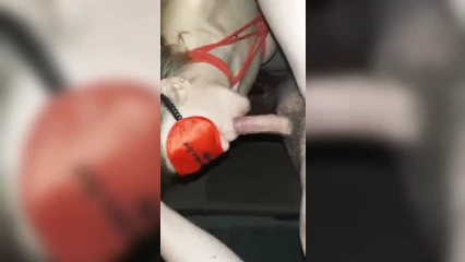 Tied up and stuffed in mouth