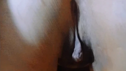 Wants two in the pussy