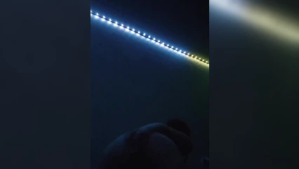 Young girl jerks off in front of the camera