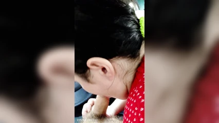 A friend swallows in the car