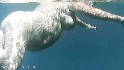 Action camera testing