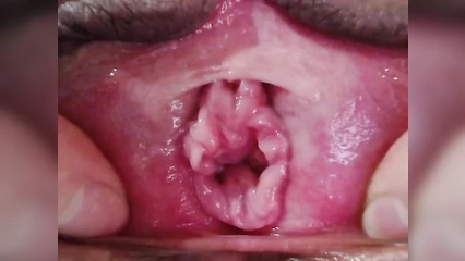 Extreme close-up of the pussy