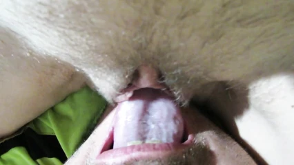 A pussy licker pleases his girlfriend