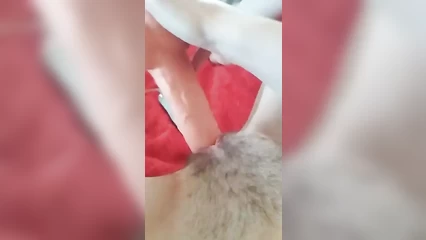Fucking with a rubber cock
