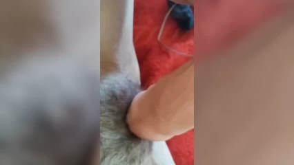 wife masturbation