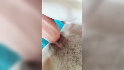 Orgasm from a vibrator