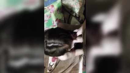 Praised for a blowjob and gave him doggy style