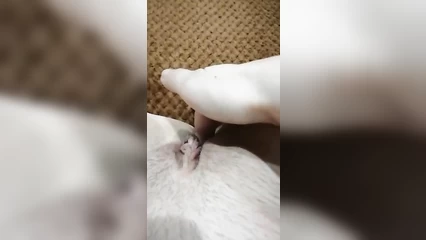 Sweet finger