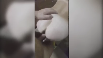 It’s so good, I haven’t been fucked like this for a long time