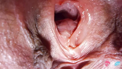 Detailed study of female genital organs
